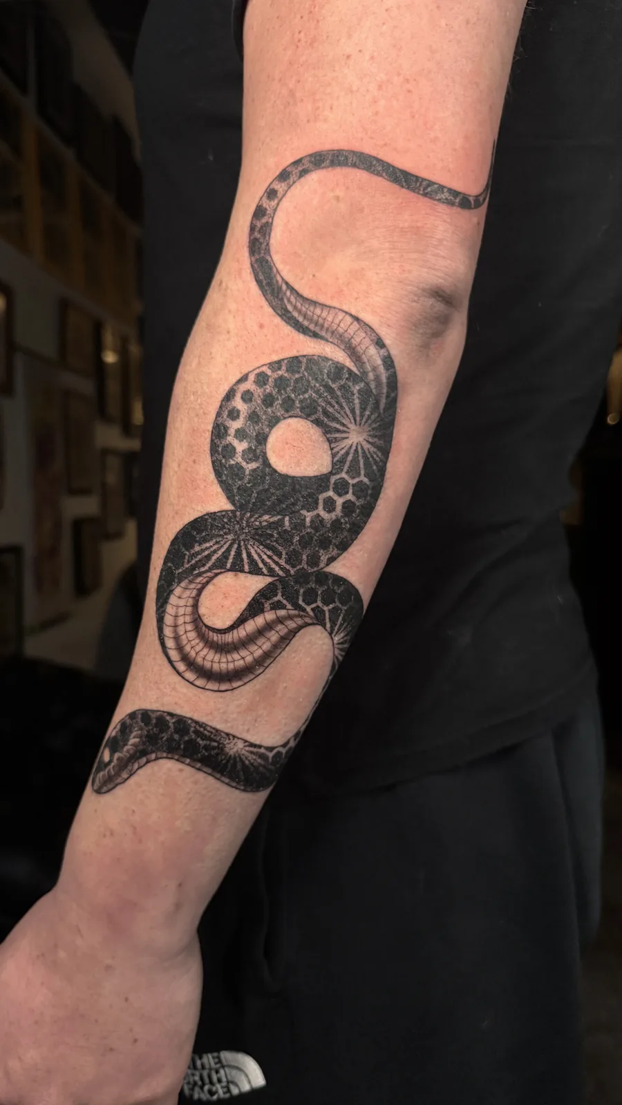 Serpent with honeycomb and starburst geometry patterned skin coiling down the forearm, tattoo by Scotty Massa
